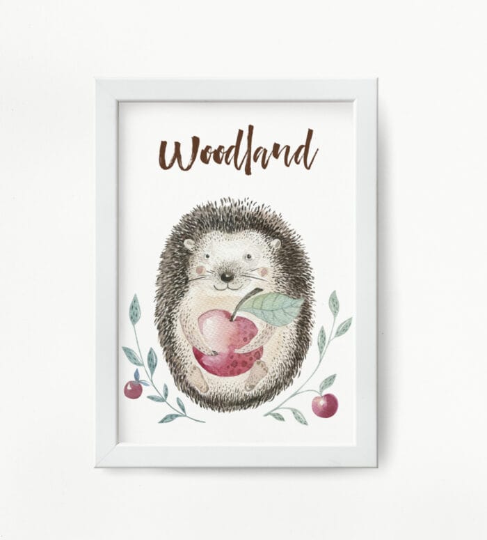 Jeżyk z Jabłkiem - Image 2