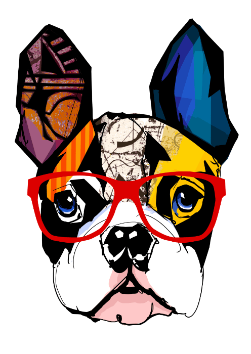 Kolorowy Buldog Francuski