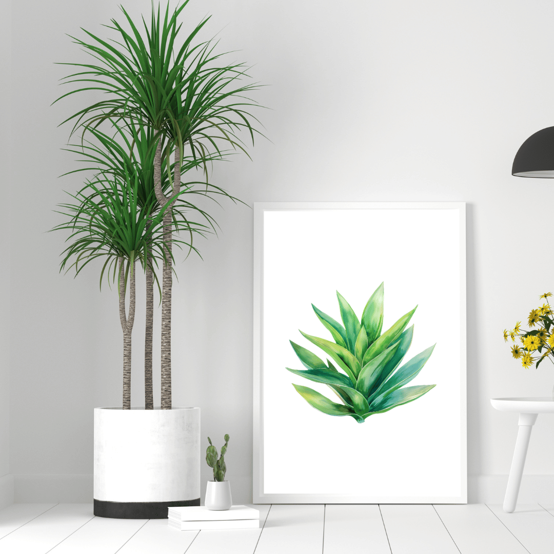 Zielony Sukulent - obrazek 3