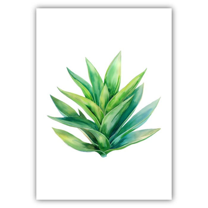 Zielony Sukulent - obrazek 2