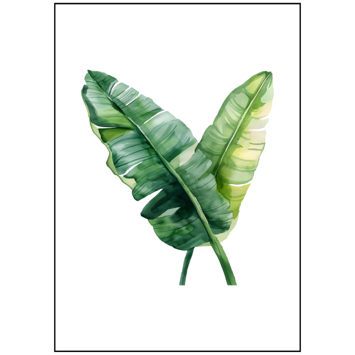 plakat botaniczny z liśćmi bananowca
