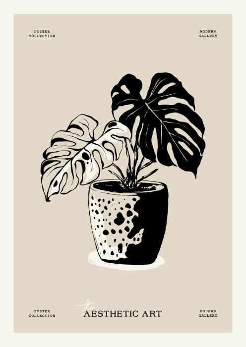 Monstera w Doniczce