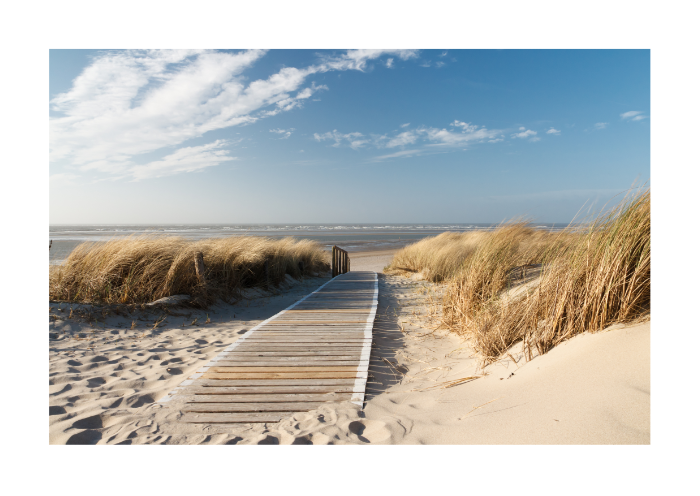 Ścieżka na Plażę