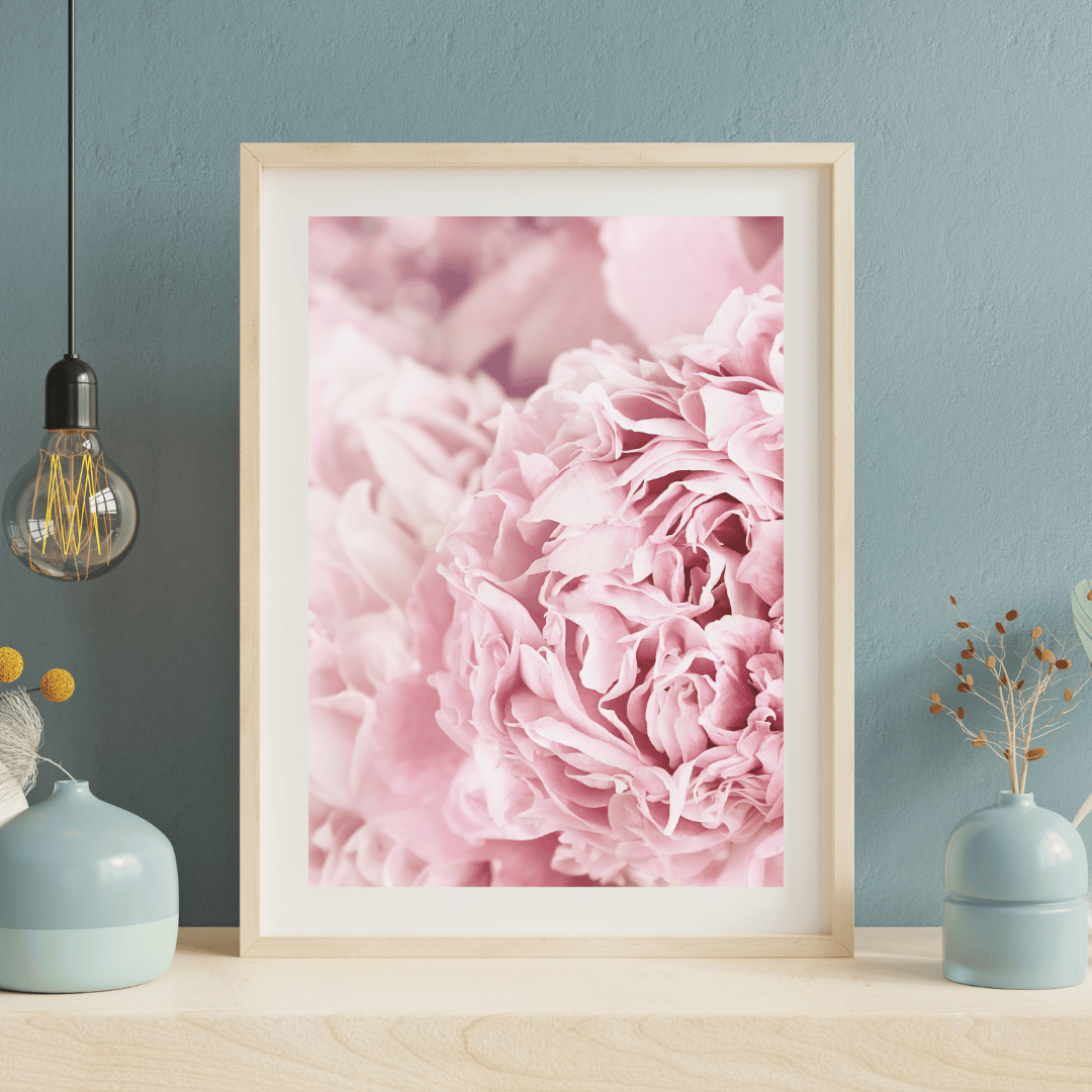 Pudrowe Piwonie - obrazek 3