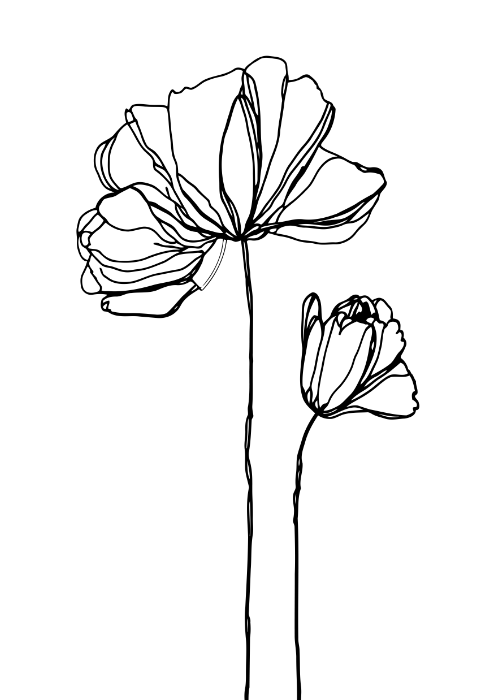 Kwiaty Line Art II